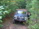 Dawson Forrest 012.jpg